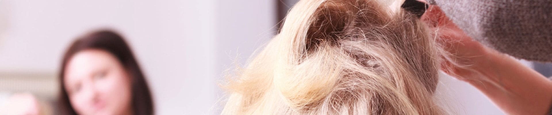 loeh-hair-forte-2019-header-min