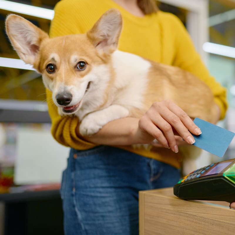 Shopper holding a dog while making a purchase